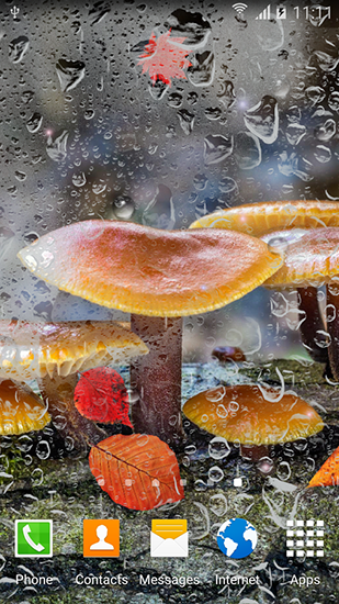 Autumn mushrooms apk - free download.