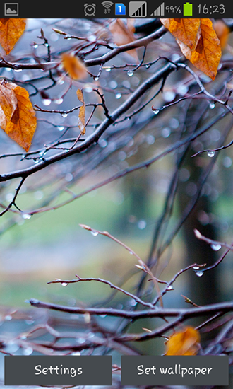 Autumn raindrops apk - free download.