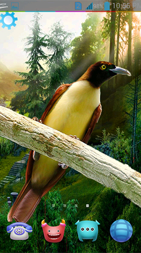 Screenshots of the live wallpaper Birds 3D by AppQueen Inc. for Android phone or tablet.