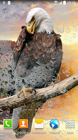 Birds by Blackbird wallpapers apk - free download.