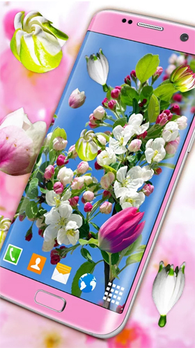 Screenshots of the live wallpaper Blossoms 3D for Android phone or tablet.