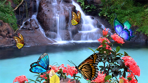 Screenshots of the live wallpaper Butterfly 3D by taptechy for Android phone or tablet.