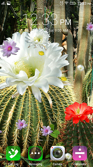 Cactus flowers apk - free download.