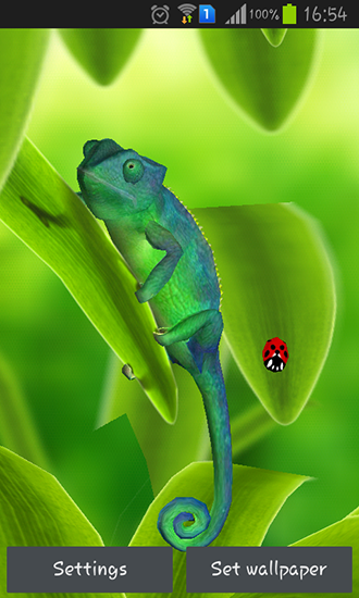 Chameleon 3D apk - free download.