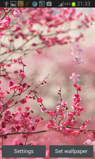 Cherry blossom by Creative factory wallpapers apk - free download.