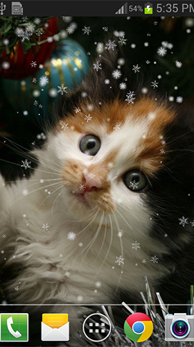 Screenshots of the live wallpaper Christmas cat by live wallpaper HongKong for Android phone or tablet.