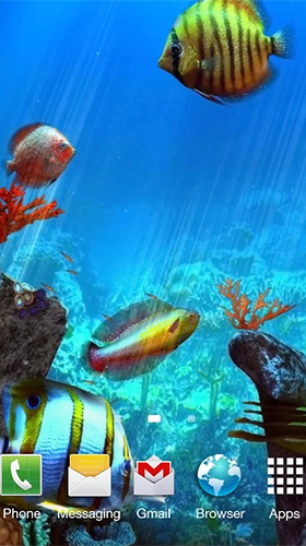 Screenshots of the live wallpaper Clownfish aquarium 3D for Android phone or tablet.