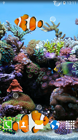 Coral fish 3D apk - free download.