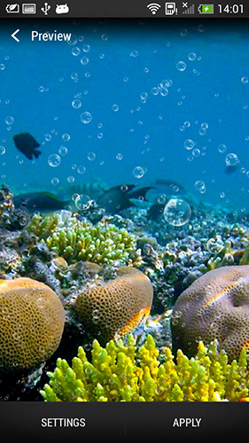 Coral reef apk - free download.
