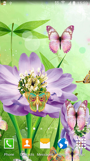 Cute butterfly apk - free download.