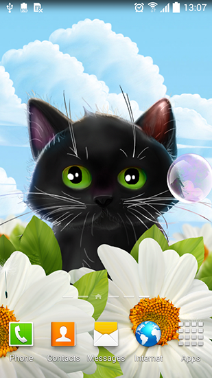 Cute kitten apk - free download.
