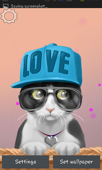 Cute kitty apk - free download.