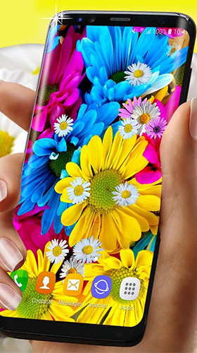 Screenshots of the live wallpaper Daisies HQ for Android phone or tablet.