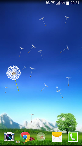 Screenshots of the live wallpaper Dandelion by Crown Apps for Android phone or tablet.