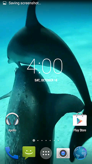 Dolphins HD apk - free download.