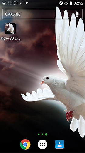 Screenshots of the live wallpaper Dove 3D for Android phone or tablet.