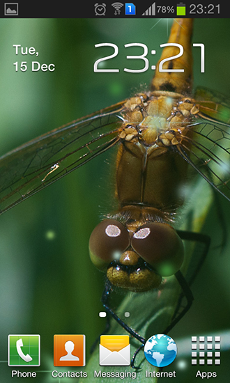 Dragonfly apk - free download.