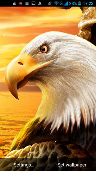 Eagle apk - free download.