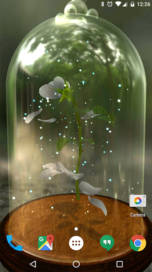 Screenshots of the live wallpaper Enchanted Rose for Android phone or tablet.