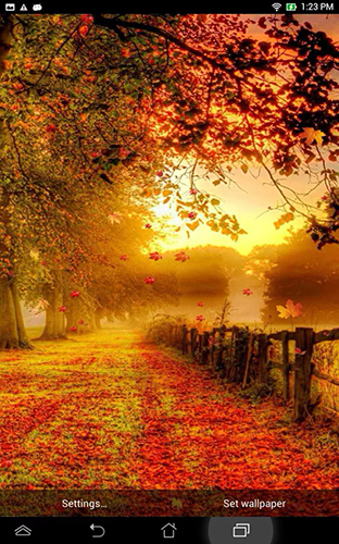 Falling leaves by Top Live Wallpapers apk - free download.