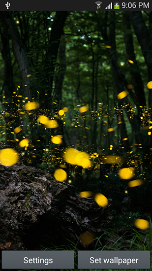 Fireflies by Top live wallpapers hq apk - free download.