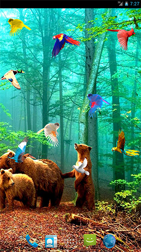 Screenshots of the live wallpaper Forest birds for Android phone or tablet.