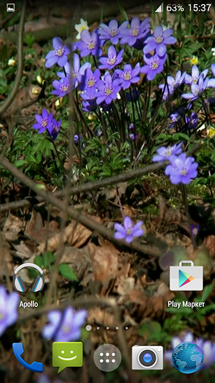 Forest flowers apk - free download.