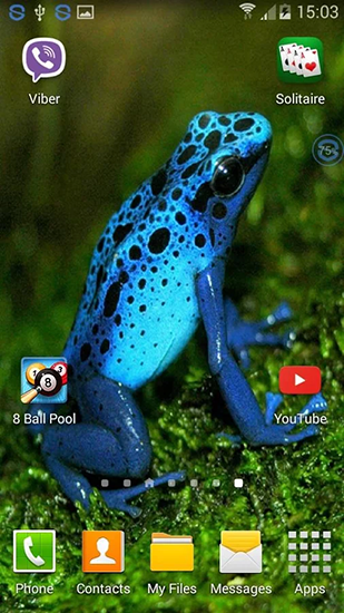 Frogs: shake and change apk - free download.