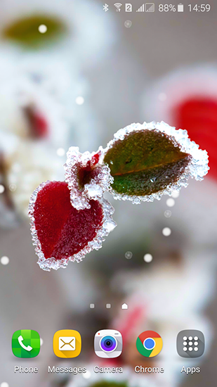 Frozen beauty: Winter tale apk - free download.