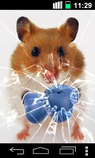 Funny hamster: Cracked screen apk - free download.