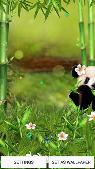 Funny panda apk - free download.