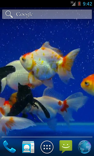 Screenshots of the live wallpaper Gold fish for Android phone or tablet.