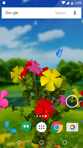 Screenshots of the live wallpaper Hibiscus 3D for Android phone or tablet.
