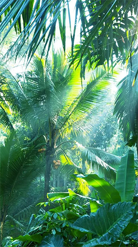 Screenshots of the live wallpaper Jungle by Pro Live Wallpapers for Android phone or tablet.