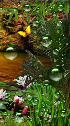 Screenshots of the live wallpaper Jungle waterfall for Android phone or tablet.
