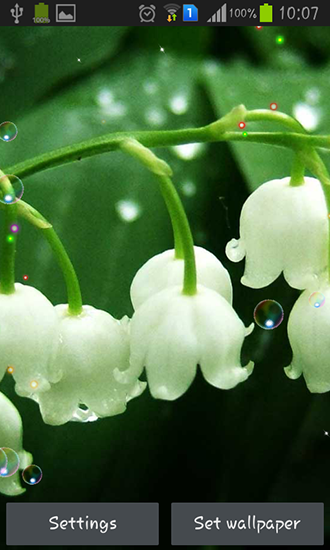 Lily of valley forest apk - free download.