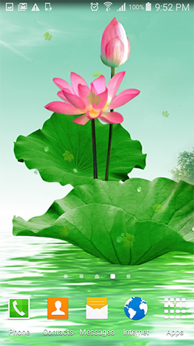 Screenshots of the live wallpaper Lotus by villeHugh for Android phone or tablet.