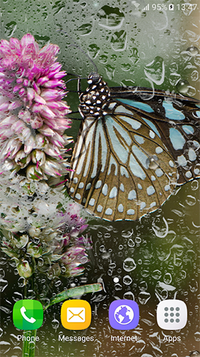 Screenshots of the live wallpaper Macro butterflies for Android phone or tablet.