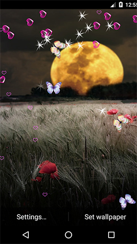 Screenshots of the live wallpaper Moonlight by 3D Top Live Wallpaper for Android phone or tablet.