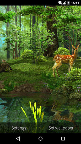 Nature 3D apk - free download.