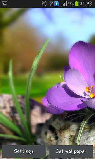Nature live: Spring flowers 3D apk - free download.