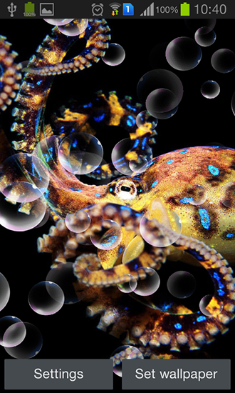 Octopus apk - free download.