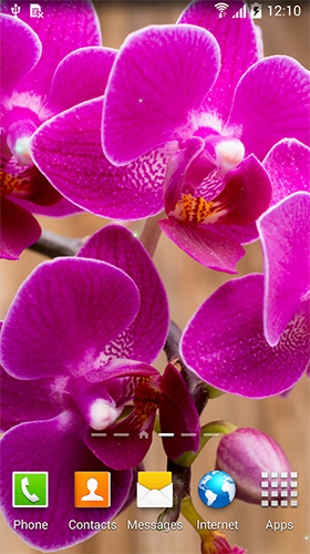 Screenshots of the live wallpaper Orchids by BlackBird Wallpapers for Android phone or tablet.