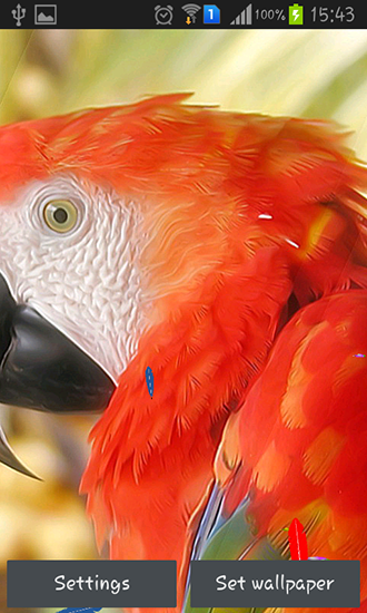 Parrot by TTR apk - free download.