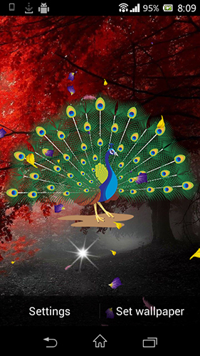 Peacock by AdSoftech apk - free download.