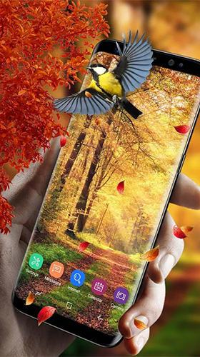 Screenshots of the live wallpaper Picturesque nature for Android phone or tablet.