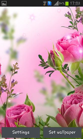 Pink flowers apk - free download.