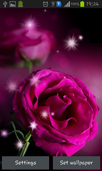 Pink roses apk - free download.