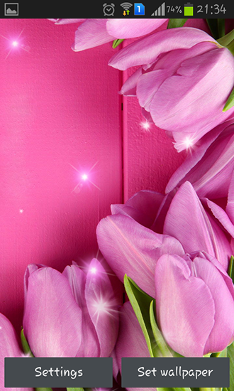 Pink tulips apk - free download.