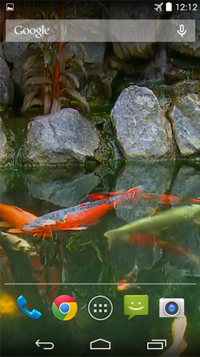 Screenshots of the live wallpaper Pond with koi by Karaso for Android phone or tablet.
